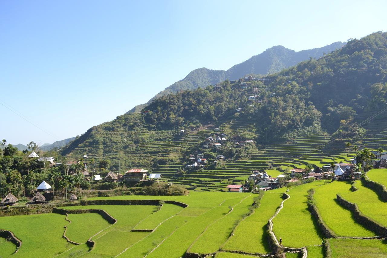 Batad View Inn And Restaurant Banaue Exteriör bild