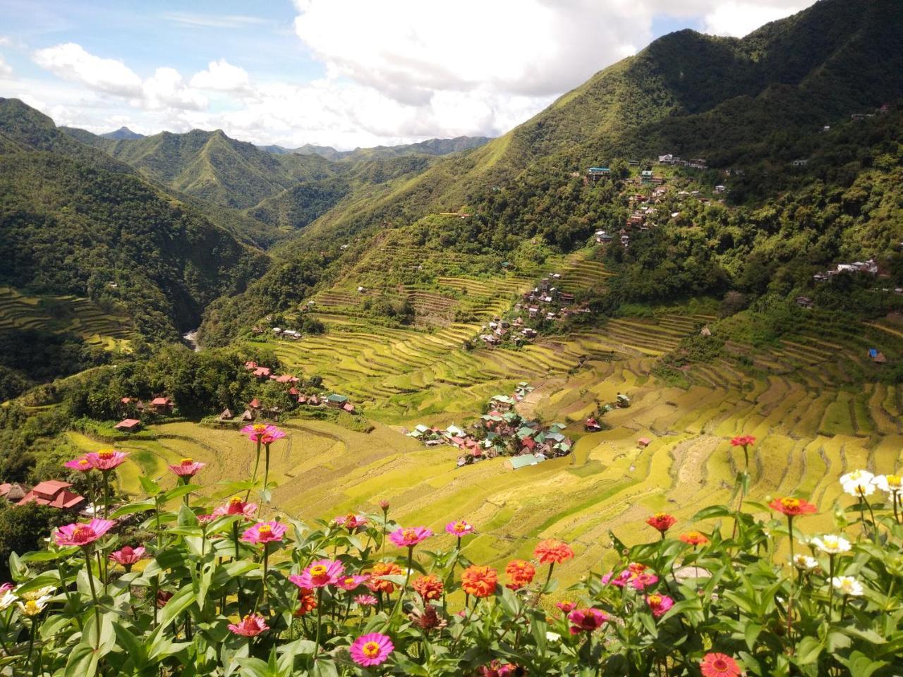 Batad View Inn And Restaurant Banaue Exteriör bild